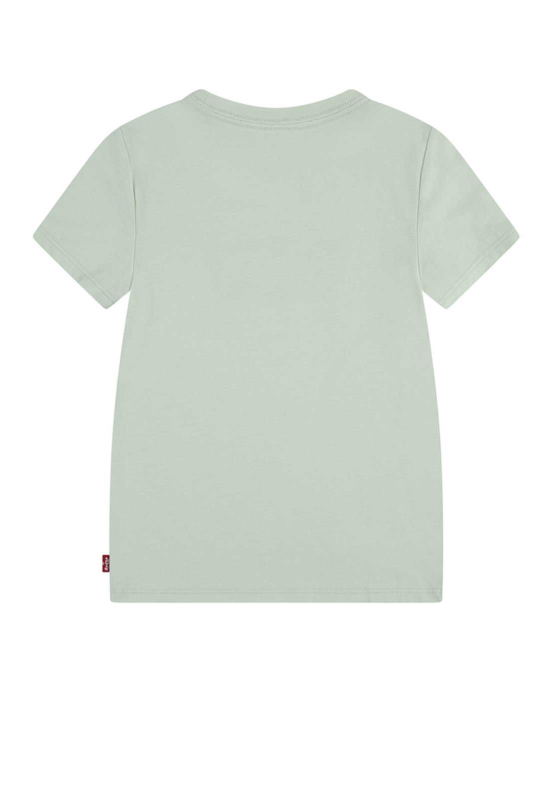 Levi’s Girls Batwing Logo Short Sleeve Tee, Green