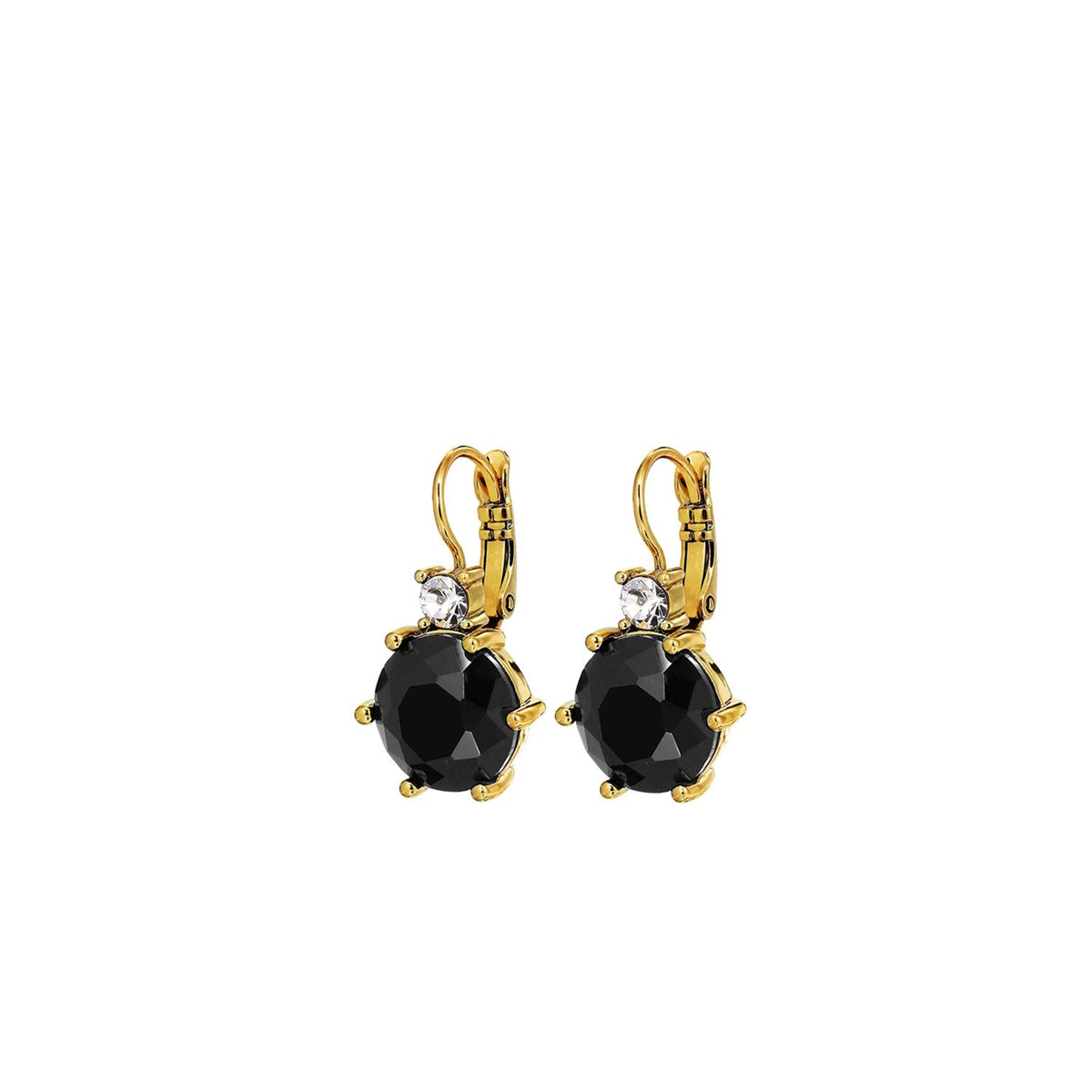 BEGONIA SG BLACK