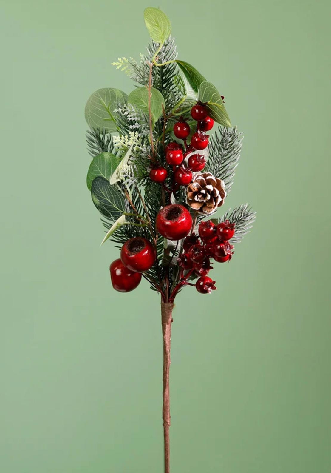 The Home Studio Premium Scarlet Rosehip Berry Medium Pic