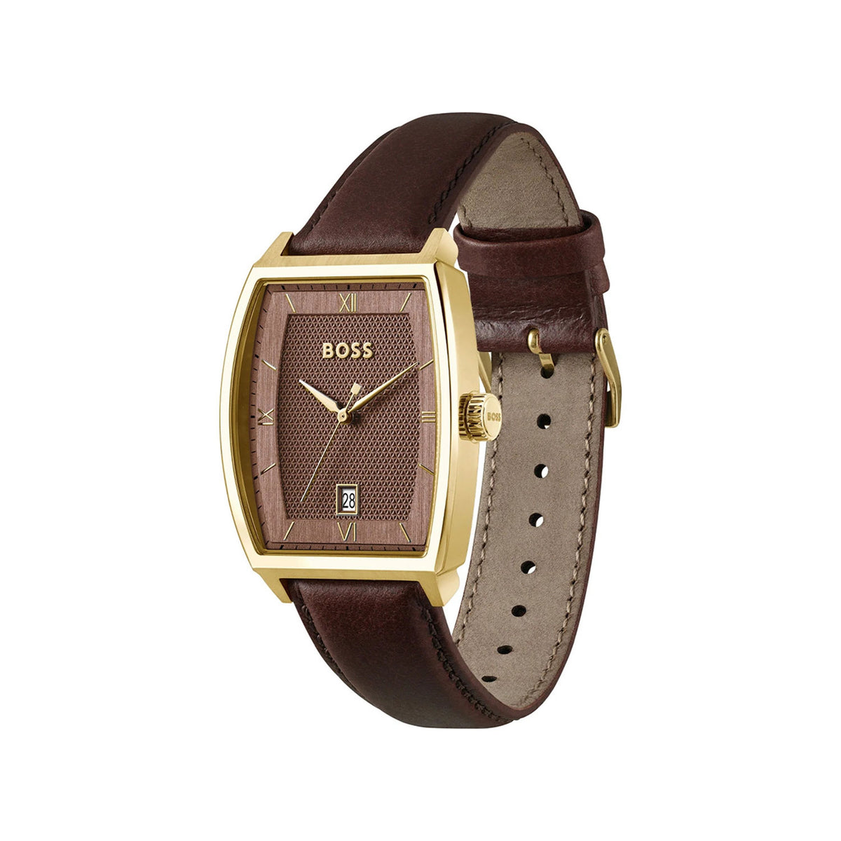 Hugo Boss Men’s Principle Ark Watch, Gold & Brown