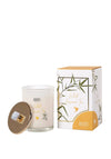 Mindy Brownes White Jasmine Tea Scented Candle