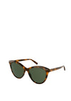 Yves Saint Laurent Ladies Classic Cat Eye Sunglasses, Tortoise Shell