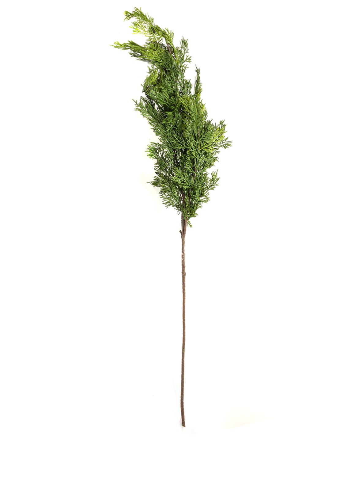 GREEN CEDAR SPRAY