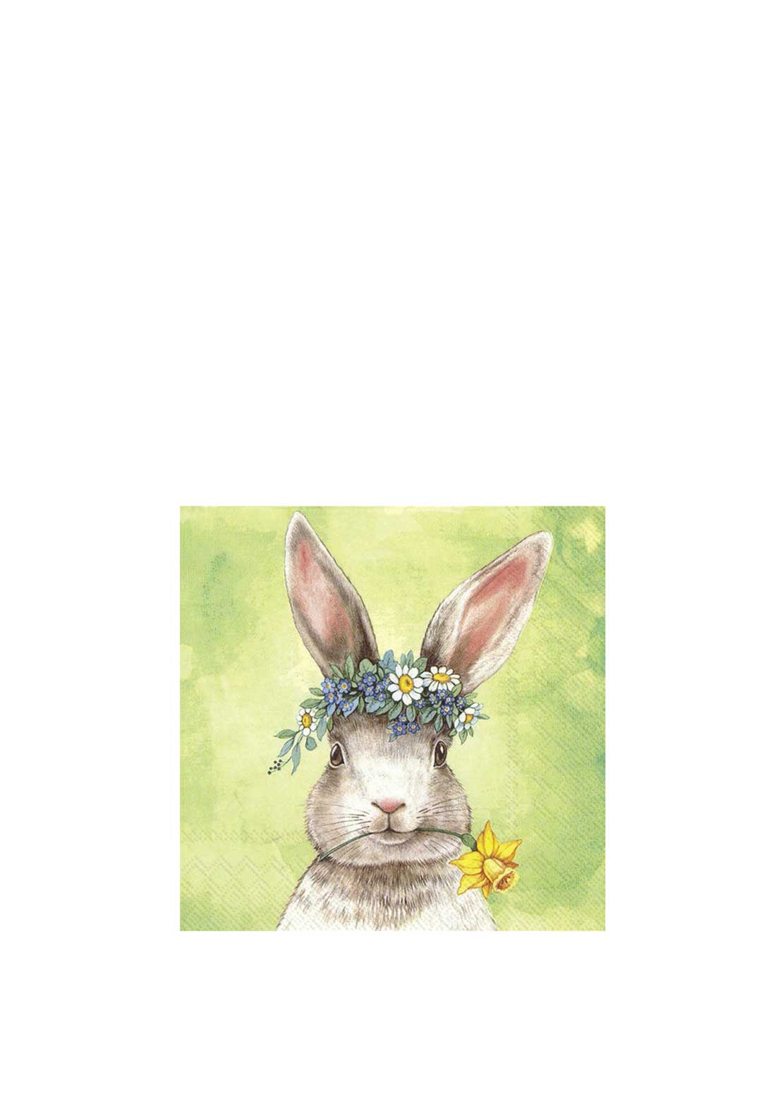 IHR Easter Friends 20 Piece Napkins, Green