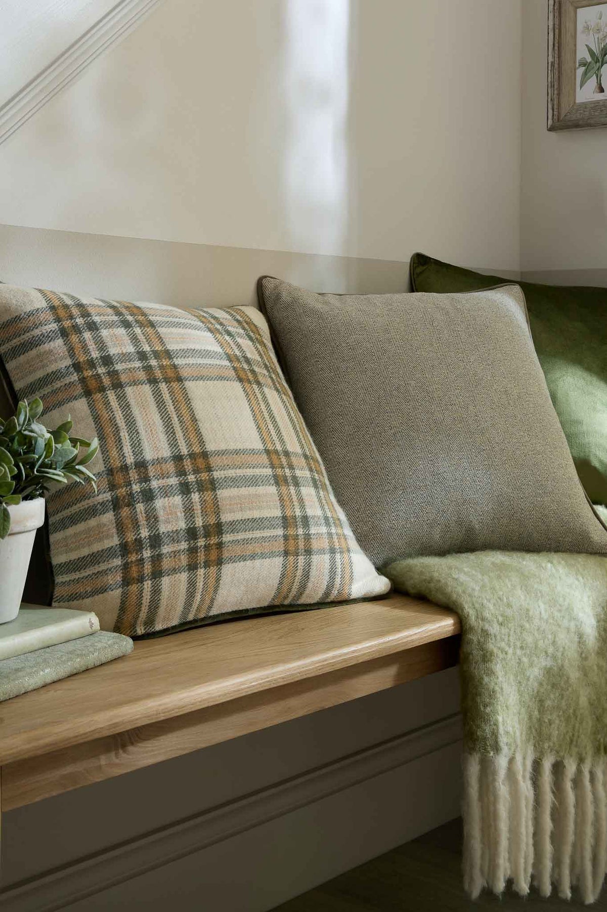 PADBURY CHECK OLIVE