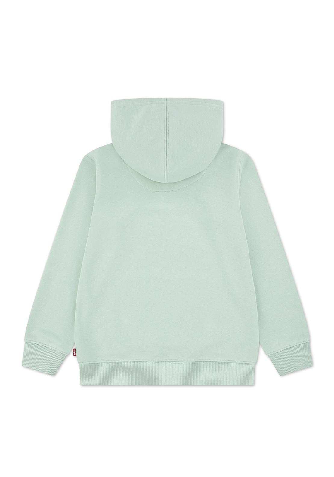 Levi’s Mini Boy Batwing Long Sleeve Hoodie, Green