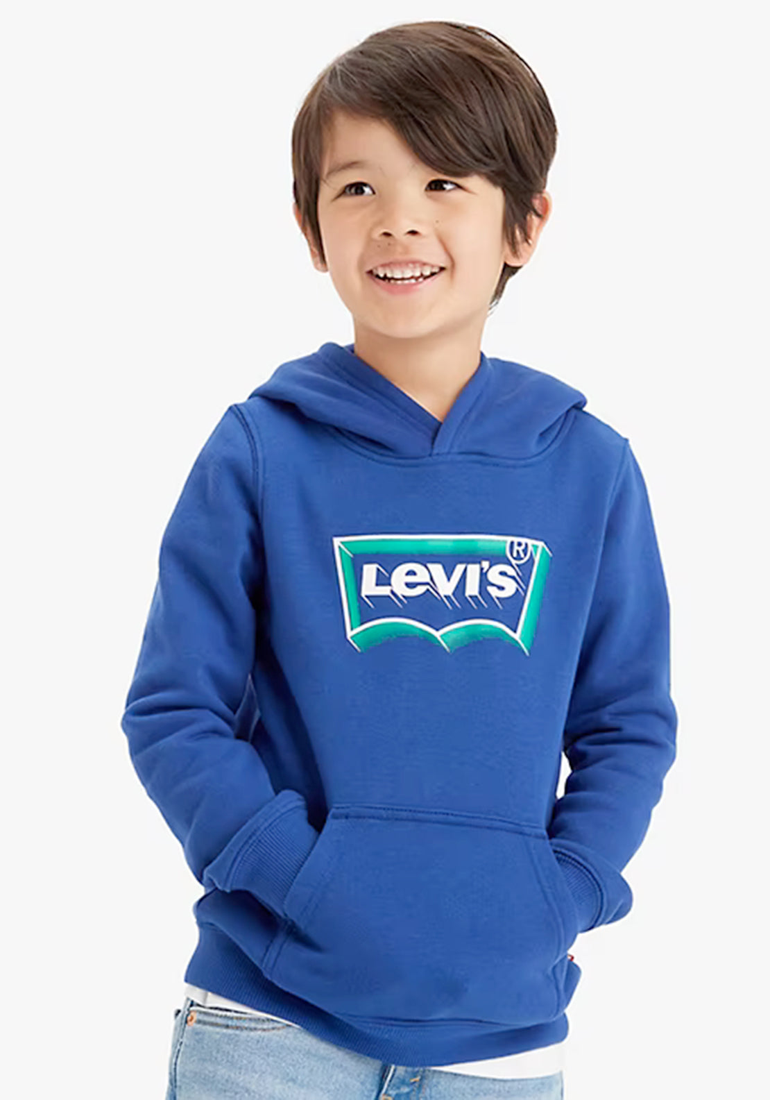 Levi's Boys Long Sleeve Logo Hoodie, Blue McElhinneys