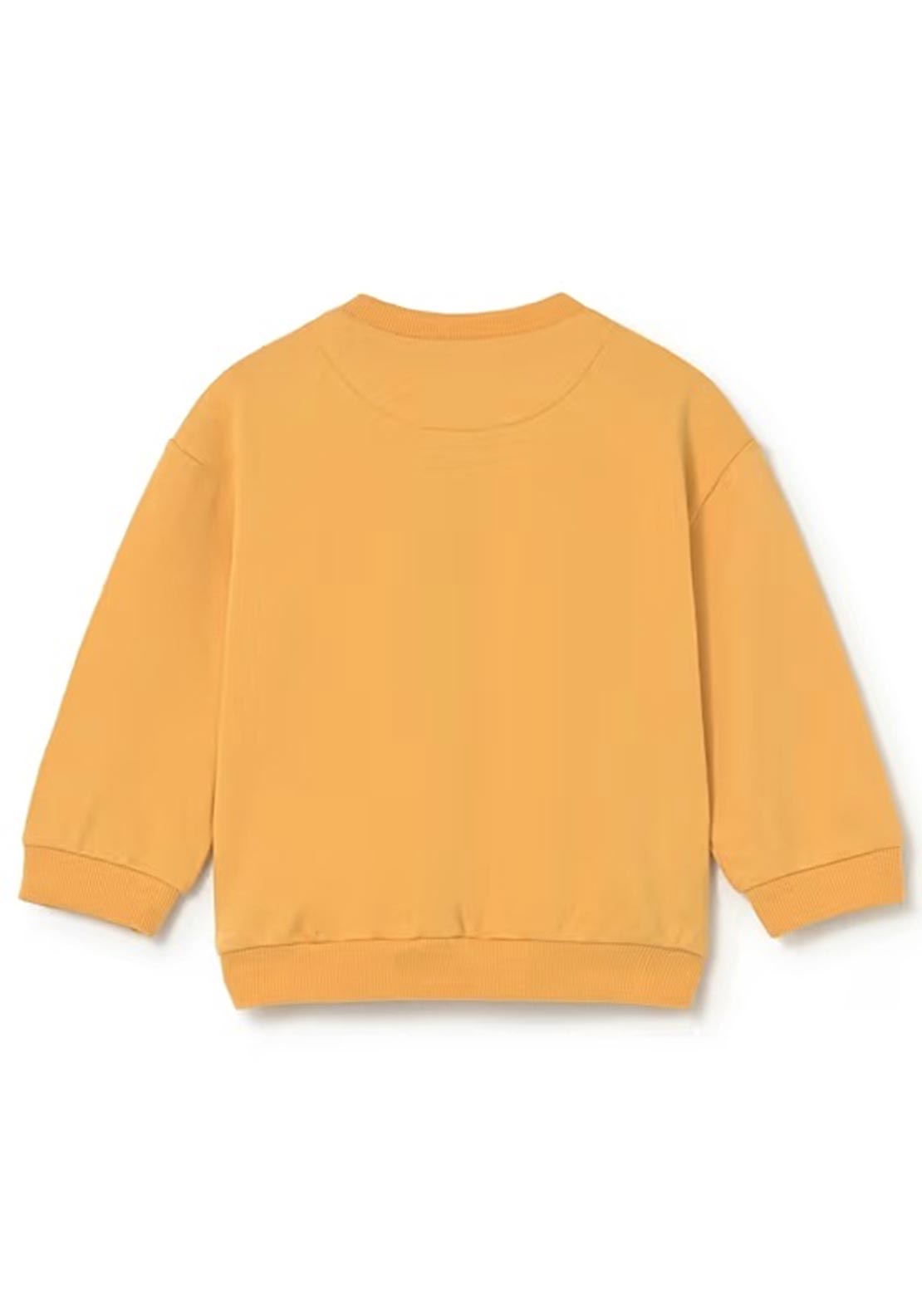 Mayoral Baby Boy Hippo Long Sleeve Sweater, Orange
