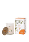Mindy Brownes White Amber Scented Candle