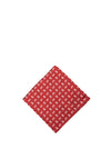 One Varones Paisley Print Pocket Square, Red