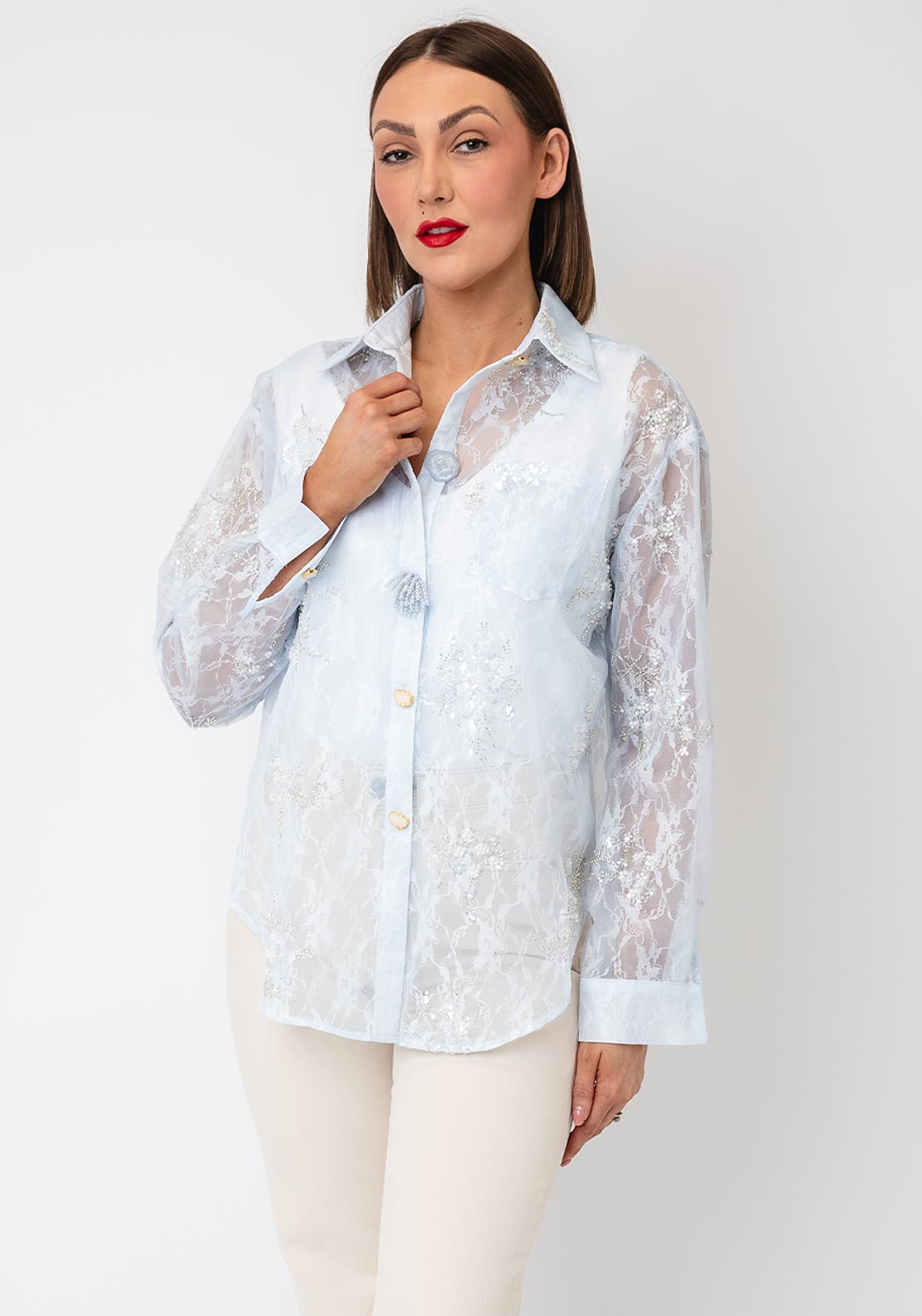 Serafina Embellished Mesh Lace Sheer Shirt, Light Blue