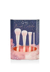 The Beauty Studio 5 Piece Cosmetic Brush Collection Gift Set