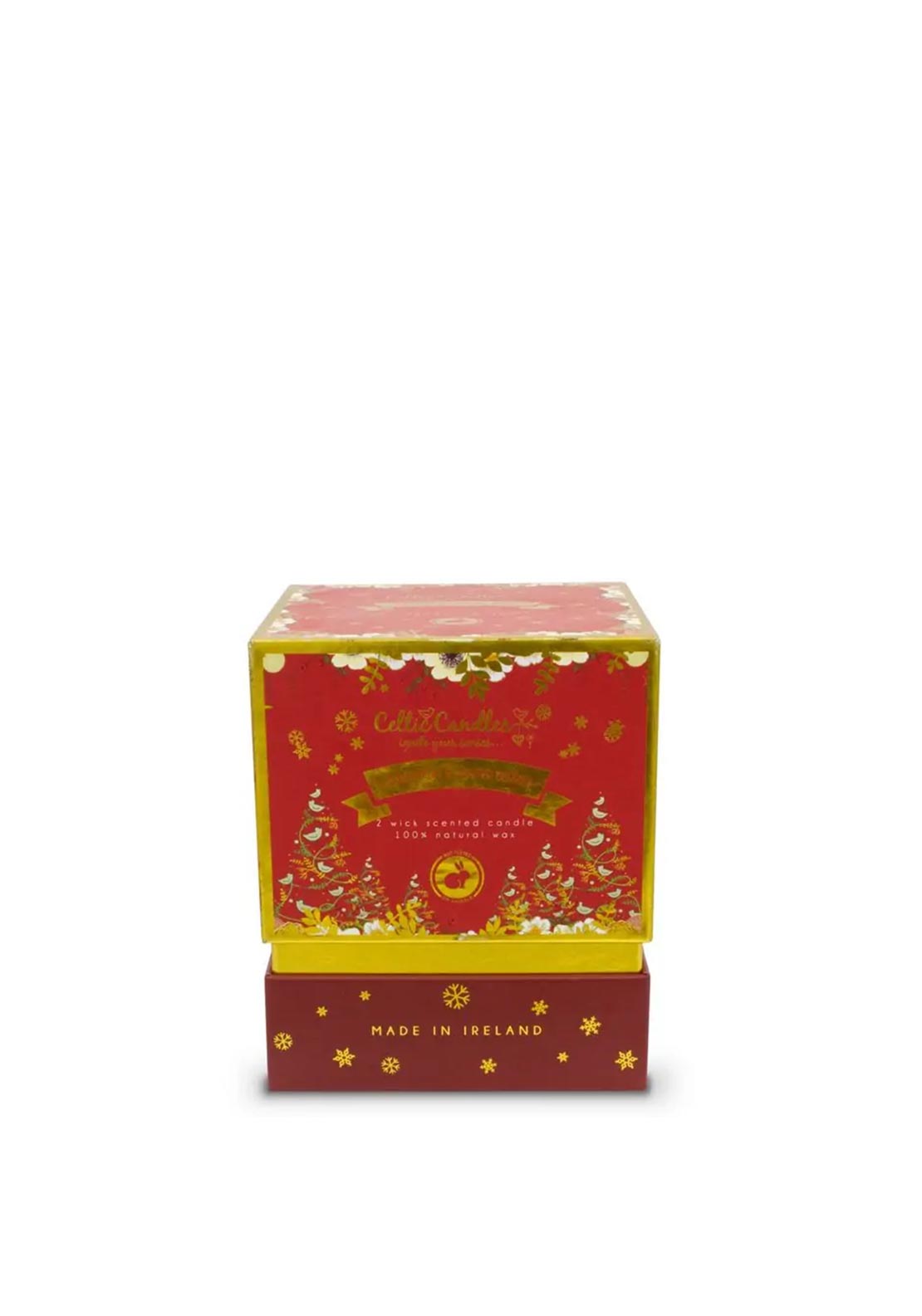Celtic Candles Cinnamon & Winter Berries 2 Wick Candle