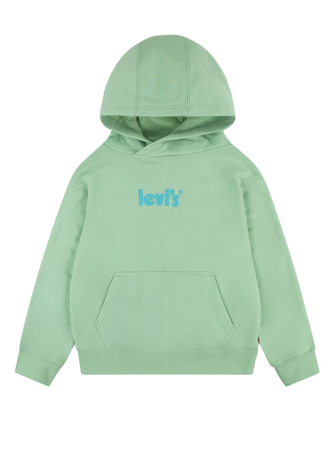 Levi's Boy Logo Pullover Hoodie, Meadow McElhinneys