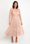 Veni Infantino Embellishment & Feather Maxi Dress, Blush