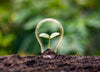 Sustainability Spotlight: Eco-Friendly Brands At McElhinneys