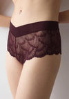 Triumph Love in Lace High Waisted Brief, Wine