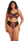 Elomi Morgan Floral Side Support Bra, Black Multi