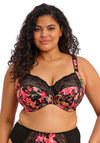 Elomi Morgan Floral Side Support Bra, Black Multi