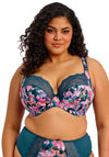 Elomi Lucie Stretch Plunge Bra, Blue Multi