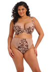 Elomi Lucie Wired Plunge Bra, Brown