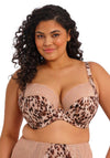 Elomi Lucie Wired Plunge Bra, Brown