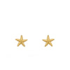 24Kae Starfish Stud Earrings, Gold
