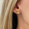 24Kae Starfish Stud Earrings, Gold