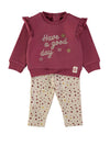 Babybol Baby Girl Floral Sweater and Legging Set, Pink