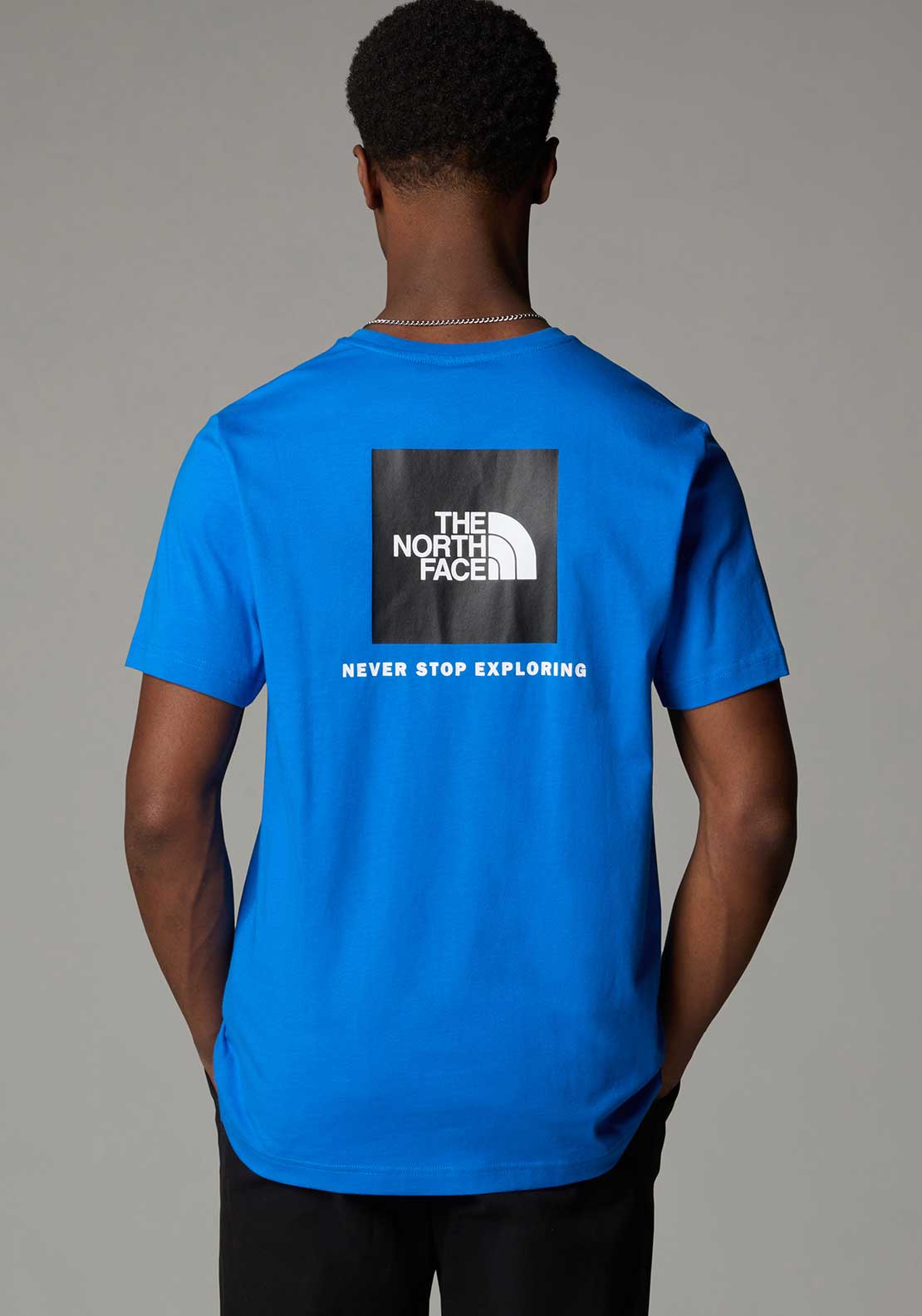The North Face Men’s Redbox T-Shirt, Hero Blue