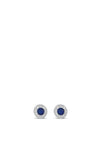 Absolute Midnight Halo Stud Earrings, Silver