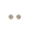 Absolute CZ Halo Stud Clip-on Earrings, Gold