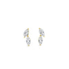 Absolute CZ Leaf Earrings, Gold