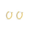 Absolute CZ Small Hoop Earrings, Gold