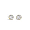 Absolute Halo Stud Earrings, Gold