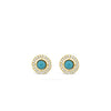Absolute Turquoise Halo Stud Earrings, Gold