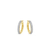 Absolute Sparkly Chunky Large Hoop Earrings, Gold