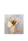 Art Cards Ireland Marie Phelan “A Tupil Called Shirley” Greetings Card