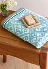 ALDIN HAND TOWEL CELADON