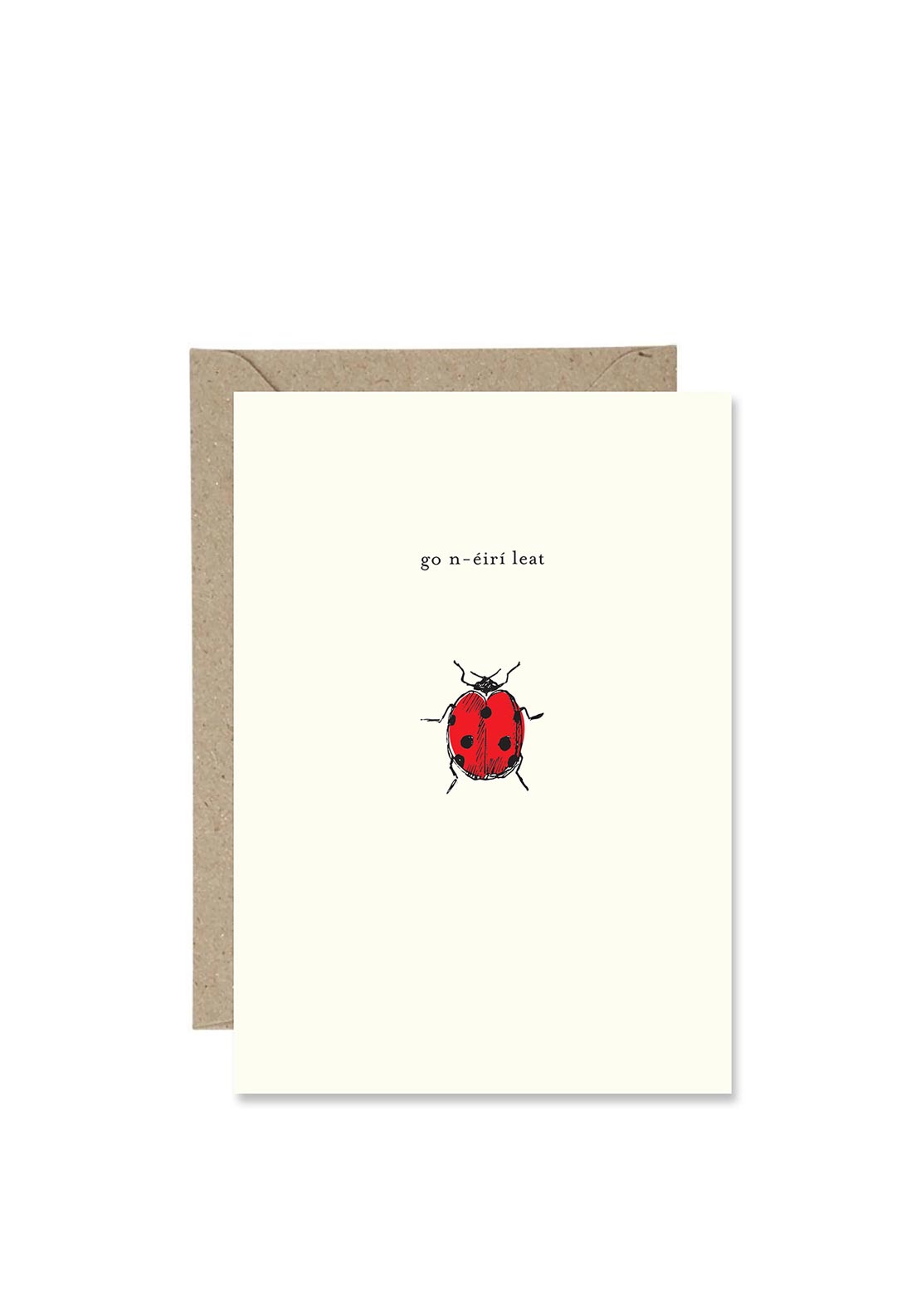 Bold Bunny Irish “Go N-Eiri Leat” Greetings Card