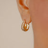 Burren Jewellery Créme Brûlée Earrings, Gold