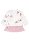 Babybol Baby Girl Butterfly Long Sleeve Dress, Pink