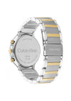 Calvin Klein Ladies 25200239 Energise Watch, Silver & Gold