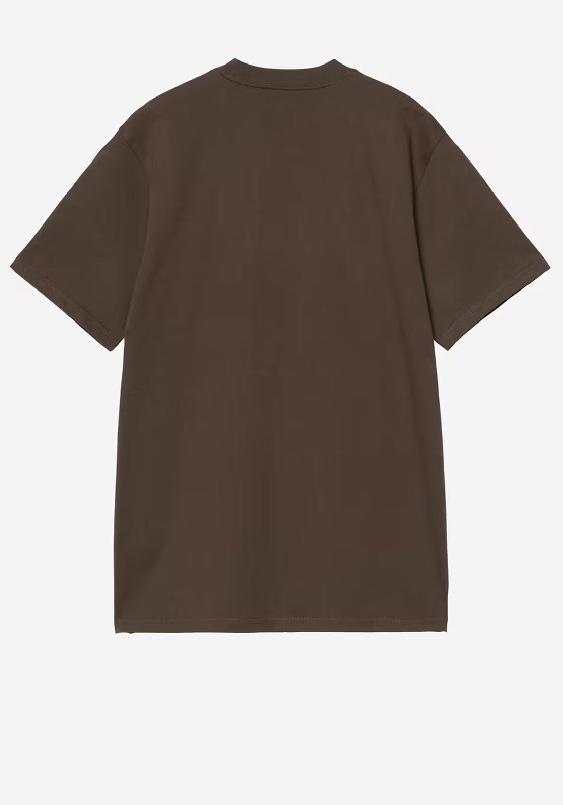 Carhartt WIP Script T-Shirt, Brown & Blue