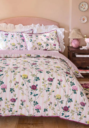 CLIMBING ROSE STRIPE PINK  SKS