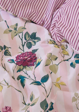 CLIMBING ROSE STRIPE PINK  SKS