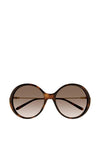 Chloé CH0171S Ladies Round Sunglasses, Havana