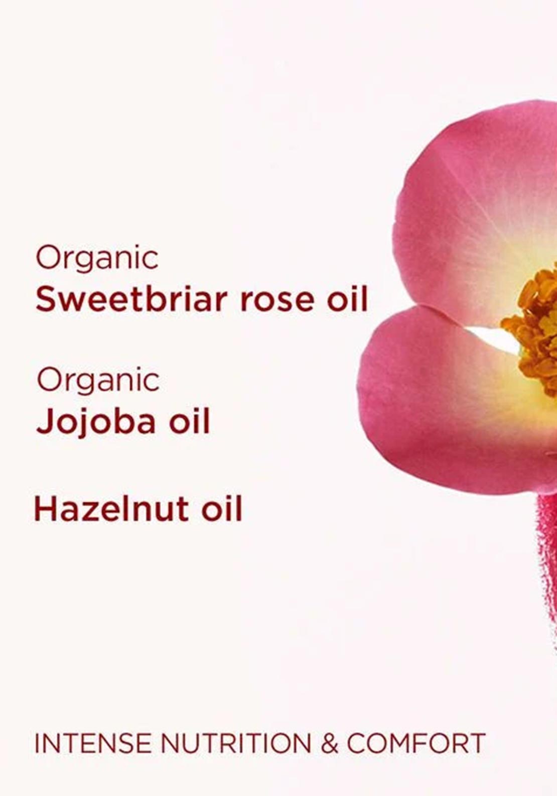 Clarins Limited Edition Lip Comfort Oil
