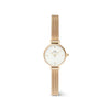 Daniel Wellington Petite Mini Evergold Watch, Gold