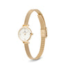 Daniel Wellington Petite Mini Evergold Watch, Gold